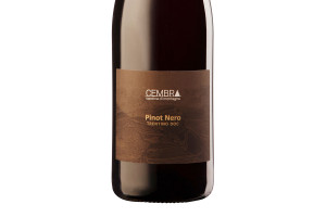 Cembra, Doc Trentino Pinot Nero 2016