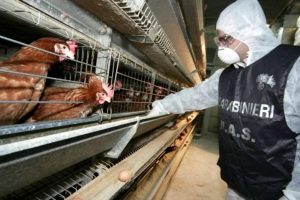 L&rsquo;attivit&agrave; di controllo della filiera agroalimentare nel 2017 ha coinvolto 348.000 stabilimenti