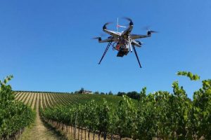 Sos Wine, il progetto di sostenibilità del professore di Enologia e Innovazione Fabio Mencarelli