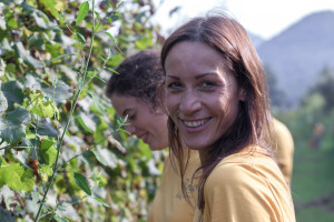 Un Metodo Classico da uve di Moscato Giallo? La scommessa, controcorrente, vinta da Maeli