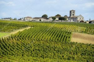 Il mito di Bordeaux verso il futuro, tra mercati, climate change e ricerca nei vigneti Il mito di Bordeaux verso il futuro, tra mercati, climate change e ricerca nei vigneti
