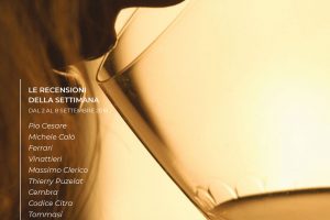 I Vini di WineNews - N.13