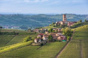 Dal Barolo alla Freisa, viaggio tra i vini del Piemonte tra nobiltà e quotidianità nel bicchiere