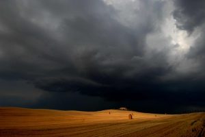 Grano, pomodori, olive e miele: la Coldiretti fa le prime stime dei danni in Italia da &ldquo;clima pazzo&rdquo;