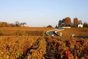 A Bordeaux le quotazioni dei vigneti ferme al 2012: mercato saturo, ma non per Margaux e Pomerol