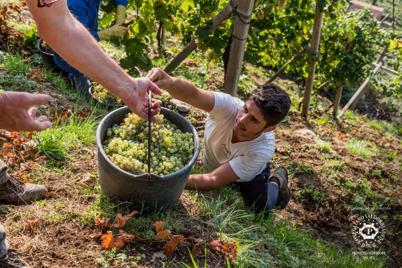 A Conegliano Valdobbiadene il territorio è caratterizzato da pendenze molto ripide