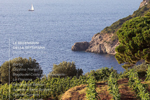 I Vini di WineNews - N. 10