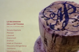 I Vini di WineNews - N. 9