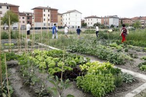 Biodiversit&agrave;, meno rifiuti, miglioramento del clima, inclusione sociale: benefici degli orti urbani