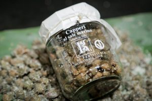 Capperi di Pantelleria Igp