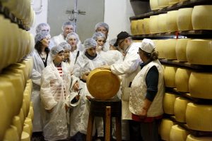 Caseifici Aperti, il Parmigiano Reggiano si racconta ai foodie attraverso 50 produttori