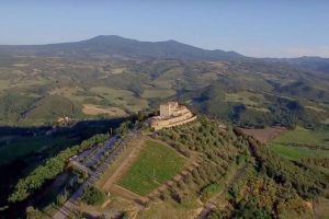 La vendemmia a pagamento, nella versione wine experience, da una moda a un vero business