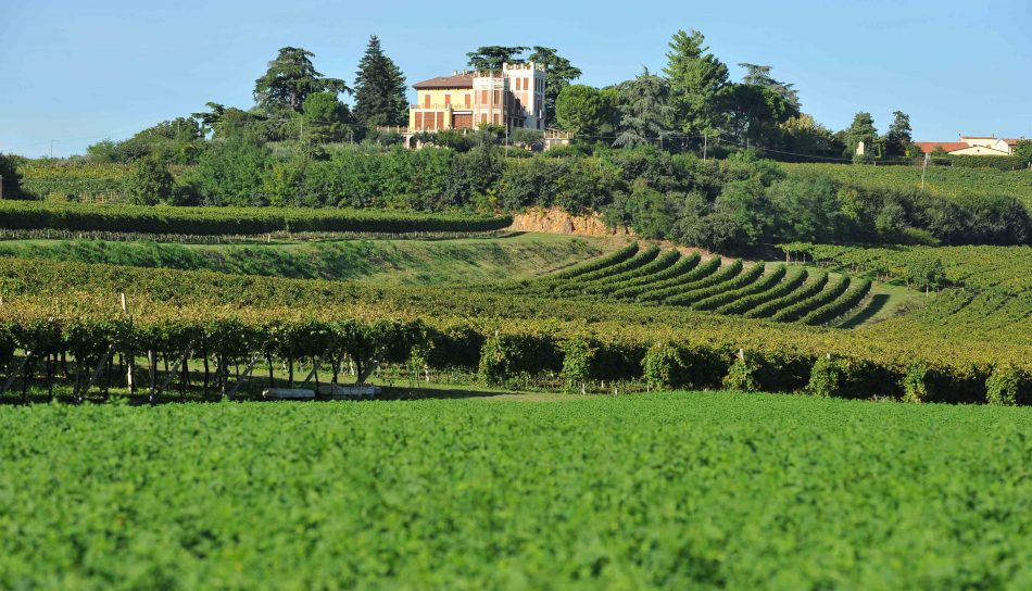 I Colli Berici puntano sul vino legato alla bellezza delle Ville del Palladio, con il progetto #Palladiowines
