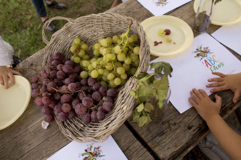 Alla Tenuta di Fiorano è di scena la Bio Sagra For Kids, con i bambini al centro