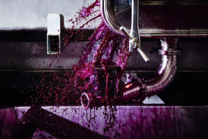 Harvest 2020, Italy produced 49,066,003 hectoliters of wine. Veneto and Puglia at the top