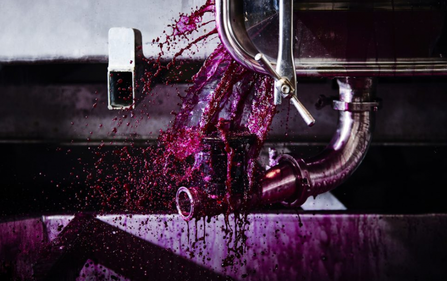 La foto con cui Adrian Lander ha conquistato il “The Artistry of wine Award” by Roederer