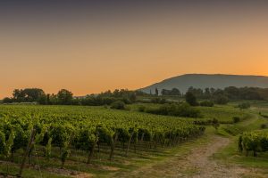 La Franciacorta candidata &ldquo;Wine Region of The Year&rdquo; 2018 dal magazine &ldquo;Wine Enthusiast&rdquo;