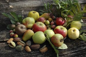 1.000 specie vegetali e animali a rischio estinzione in Italia sono tagliate fuori dal mercato