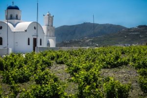 Nella Grecia che esce dalla crisi, via la tassa sul vino, estrema ratio per non fallire