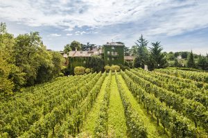 Terra Moretti completa il progetto Bellavista: acquisita proprietà completa della collina Bellavista Terra Moretti completa il progetto Bellavista: acquisita proprietà completa della collina Bellavista
