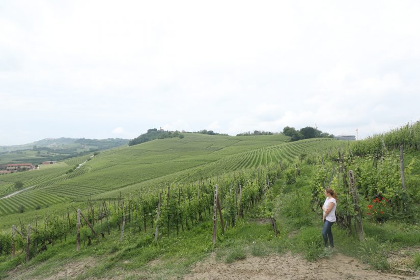 Oddero, griffe del Barolo, sbarca nel cru Monvigliero