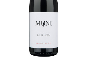 Piccinin Daniele, Veneto Igt Pinot Nero 2016