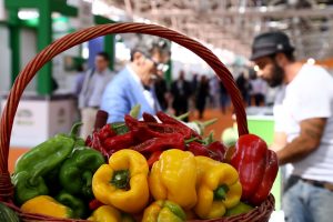 Il consumatore “bio-tipo”? Donna, di reddito medio-alto e stile di vita “free from”, veg o light