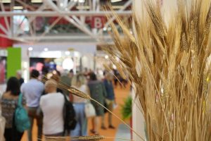 Bio-boom: mercato italiano a 5,6 miliardi tra vendite interne ed export. Grazie a tanta innovazione