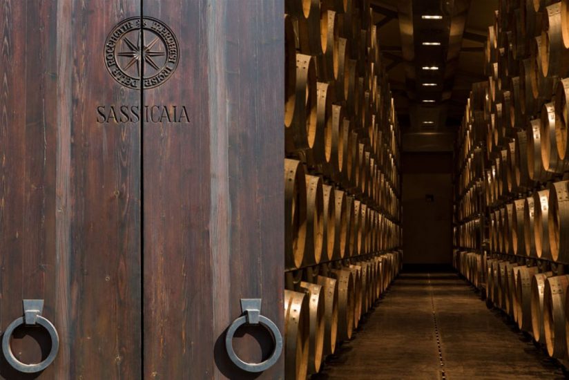 La cantina del Sassicaia, a Tenuta San Guido