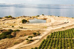 Phoenician Wine Day 2018 con Tasca d&rsquo;Almerita, sulle tracce del vino dei Fenici, a Mozia