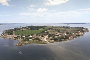 Viaggio alle radici della viticoltura del Mediterraneo: sull&rsquo;Isola di Mozia tra archeologia e vino