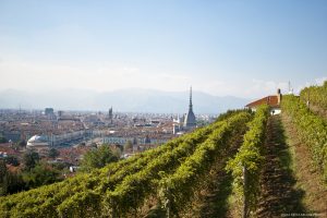 &ldquo;Vendemmia a Torino - Grapes in Town&rdquo;: il salotto d&rsquo;Italia apre le porte di vie e palazzi al vino