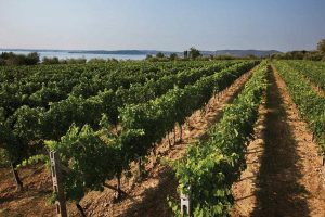 Il Lago di Garda tra le “10 Best Wine Travel Destinations of 2019” di Wine Enthusiast