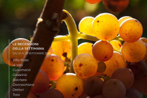 I Vini di WineNews - N. 15