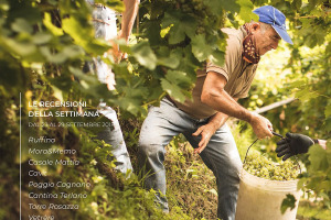 I Vini di WineNews - N. 16