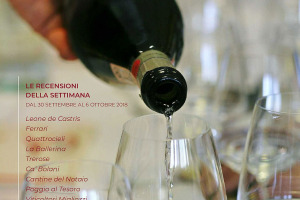 I Vini di WineNews - N. 17