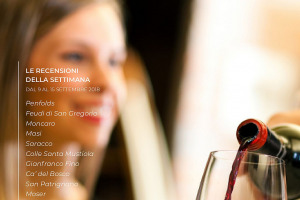 I Vini di WineNews - N. 14