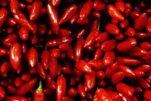 Dal Salone del Gusto, i colori del cibo: viaggio per immagini in un mondo di sapori Dal Salone del Gusto, i colori del cibo: viaggio per immagini in un mondo di sapori