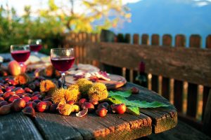 Credito d&rsquo;imposta e contributi a fondo perduto: dal Pnrr gli aiuti per gli agriturismi italiani