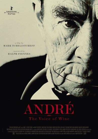 La locandina del documentario Andrè The Voice 