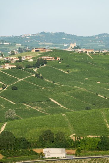 Architettura di rottura e non in linea con la tradizione delle Langhe per Astemia Pentita