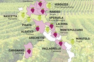 Quasi sconosciuti o protagonisti della scena viticola, i vitigni autoctoni in mostra a Bolzano Quasi sconosciuti o protagonisti della scena viticola, i vitigni autoctoni in mostra a Bolzano