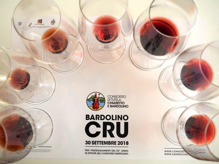 La Rocca, Montebaldo e, Sommacampagna, i Cru del Bardolino