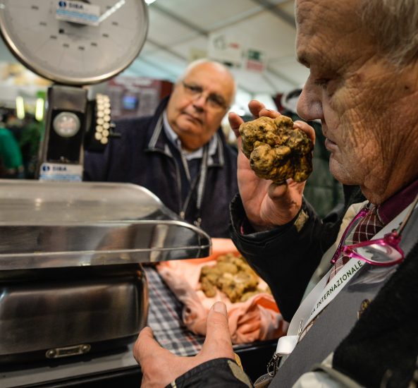 Al via il 6 ottobre la Fiera Internazionale del Tartufo Bianco d’Alba n. 88
