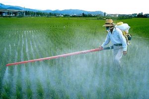 Il “monopolio” sul mercato degli agrofarmaci e delle sementi della Bayer nel mirino della Coldiretti Il “monopolio” sul mercato degli agrofarmaci e delle sementi della Bayer nel mirino della Coldiretti