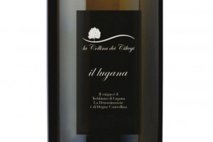 La Collina dei Ciliegi, Doc Lugana 2016