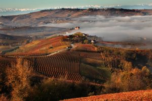 I “salotti” del vino italiano aprono le porte, da Grandi Langhe a Wine&Siena. Ecco gli eventi I “salotti” del vino italiano aprono le porte, da Grandi Langhe a Wine&Siena. Ecco gli eventi