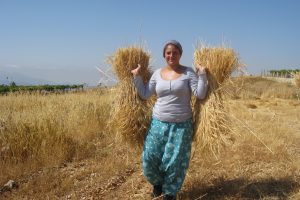 Nell’ultima bozza della manovra economica i terreni agricoli dello Stato alle famiglie con tre figli