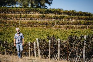 Francia ed Usa, Sudafrica ed Australia, Cile ed Argentina: &ldquo;Simonit&Sirch&rdquo; nelle vigne del mondo