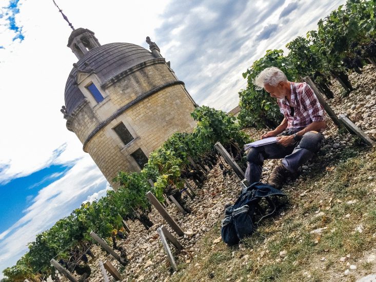 Il metodo Simonit&Sirch tra i filari di Chateau Latour
